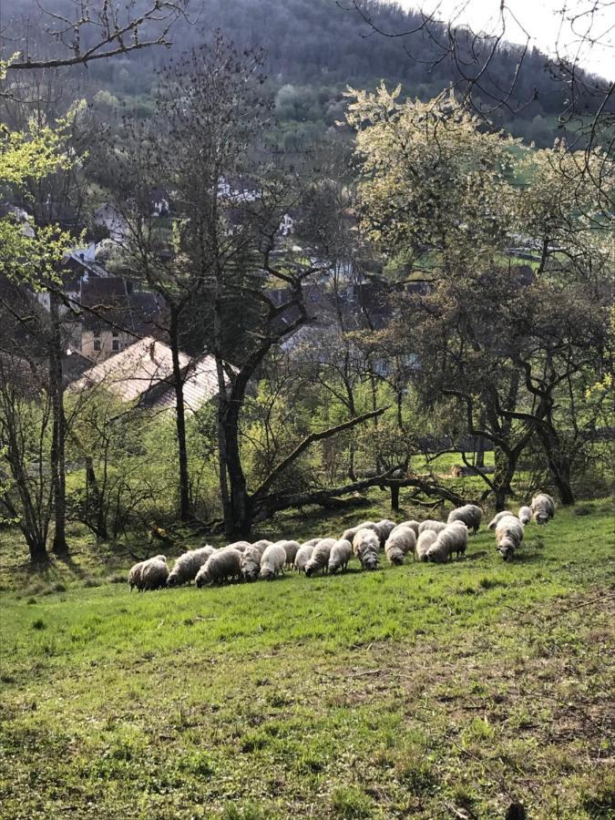 Golf Val De Sorne Vernantois Maison Vigneronne المظهر الخارجي الصورة